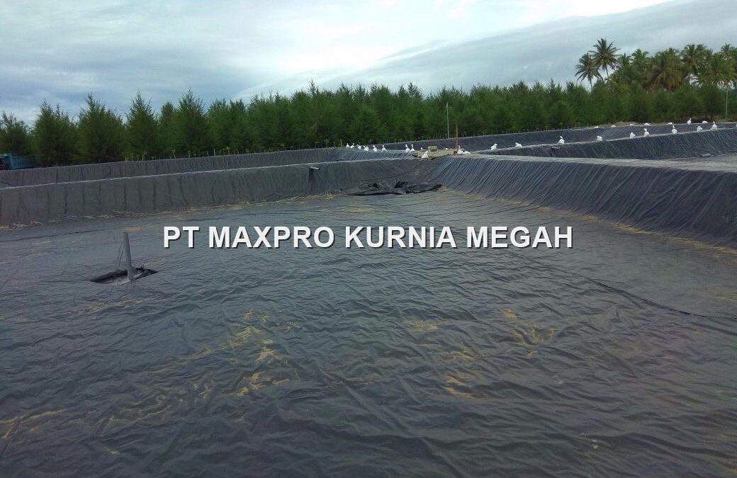 Beli Geomembrane Perm2 Surabaya